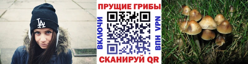 Псилоцибиновые грибы мицелий  как найти закладки  MEGA ONION  Карабаш 